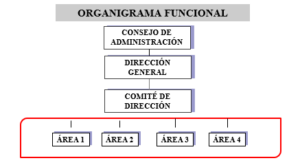 el comité de dirección