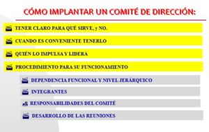 EL COMITÉ DE DIRECCIÓN EN LA PRÁCTICA