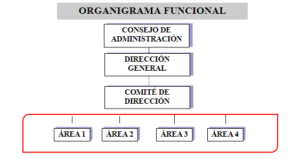 consejo de administración